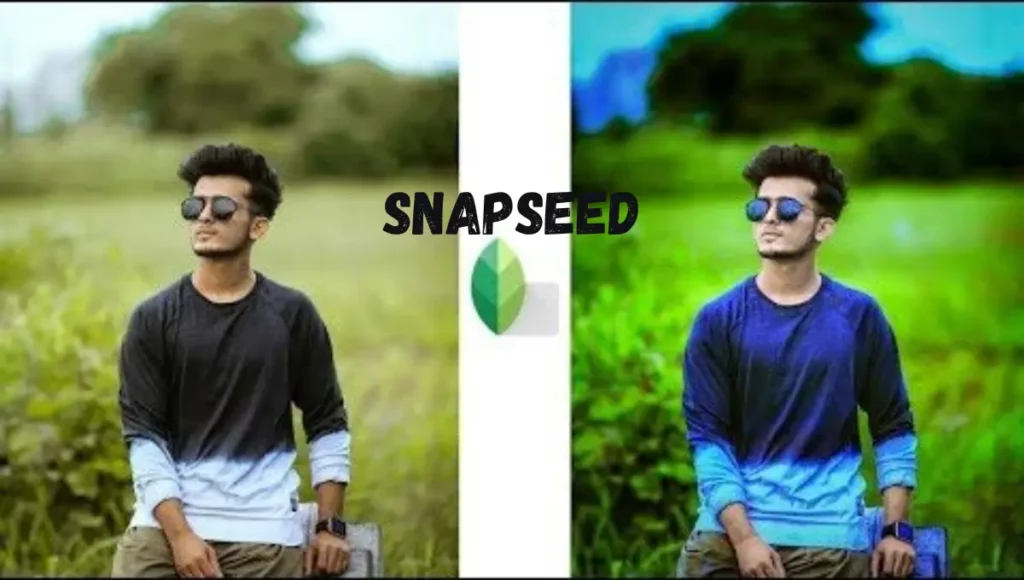 Snapseed: Best App for Advanced Photo Enhancing