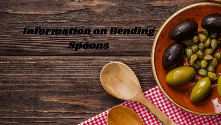 Information of Bending Spoons( Developer of Remini App)