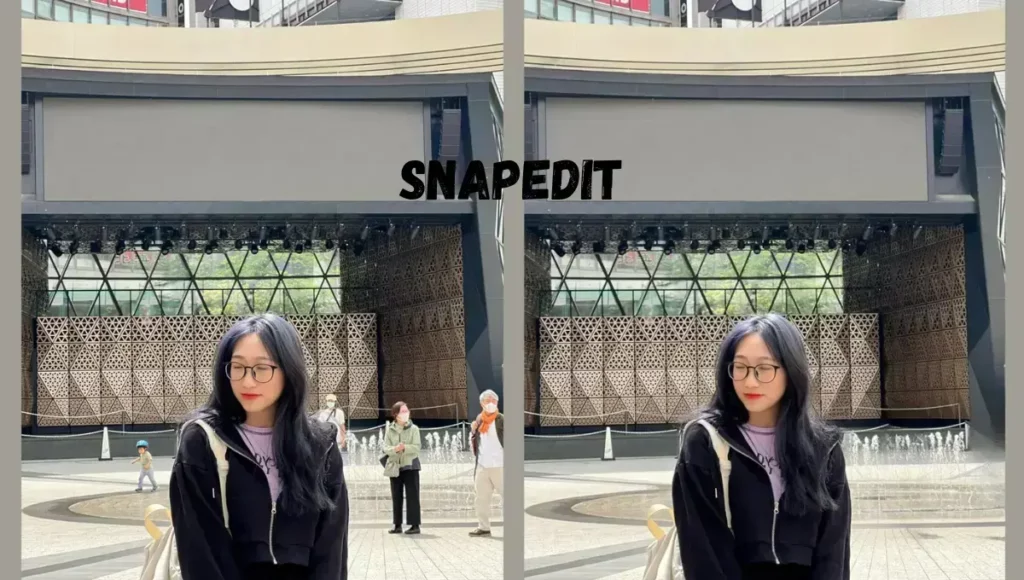 SnapEdit: Best App for Removing Photo Blur